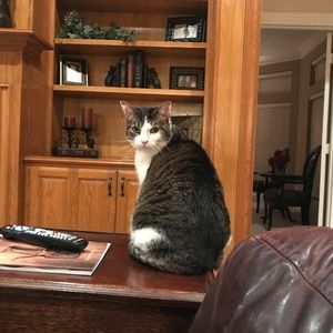 Meet your Posher, Teresa